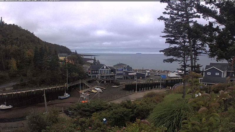 Hall's Harbour