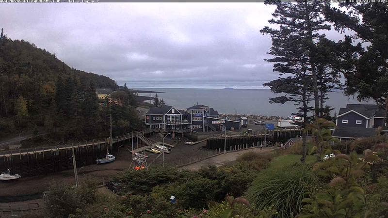 Hall's Harbour