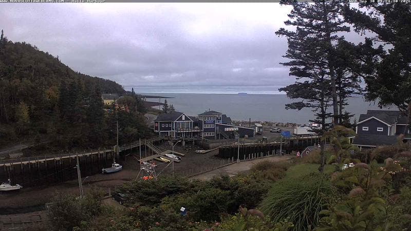 Hall's Harbour