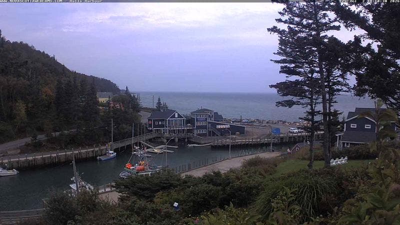 Hall's Harbour