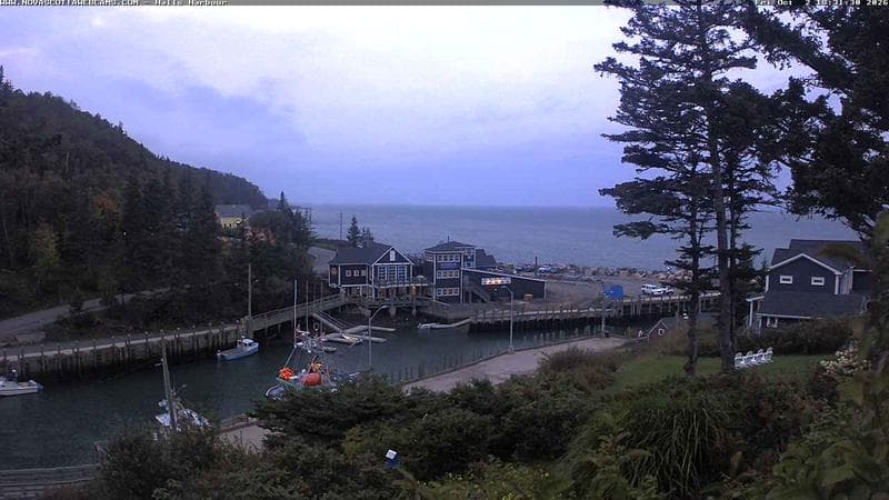 Hall's Harbour