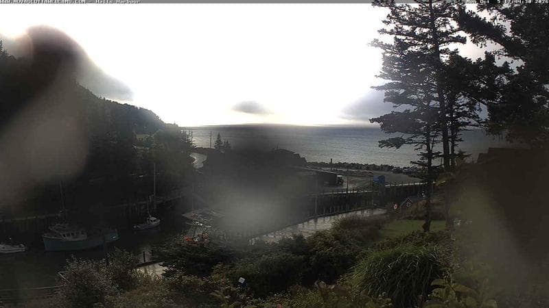Hall's Harbour