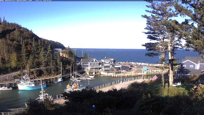 Hall's Harbour