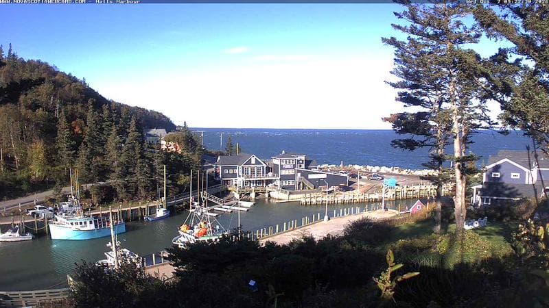 Hall's Harbour
