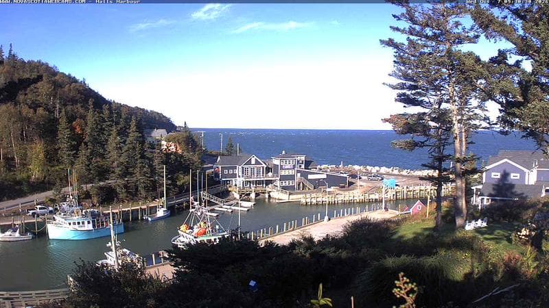 Hall's Harbour