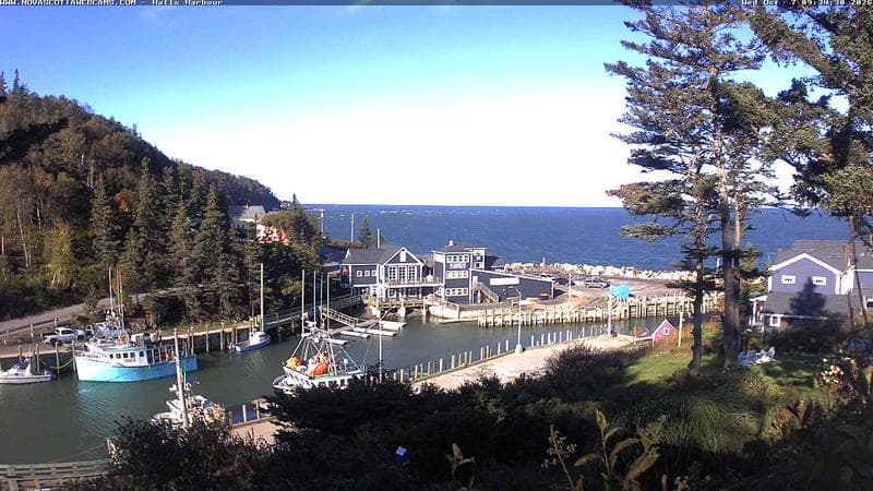 Hall's Harbour