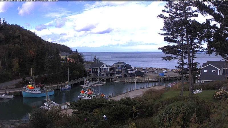 Hall's Harbour