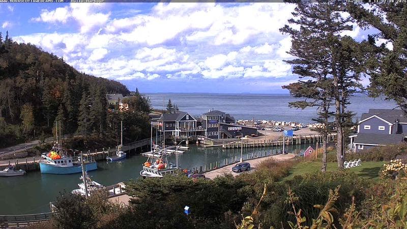 Hall's Harbour