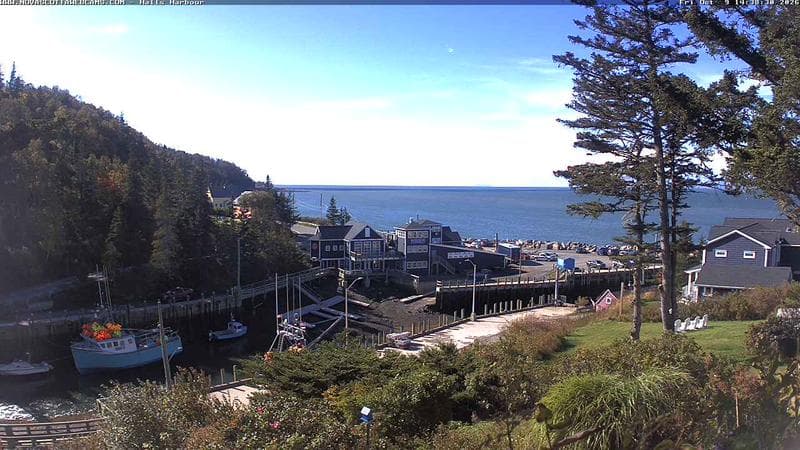 Hall's Harbour