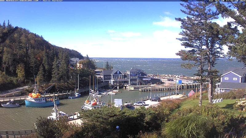 Hall's Harbour