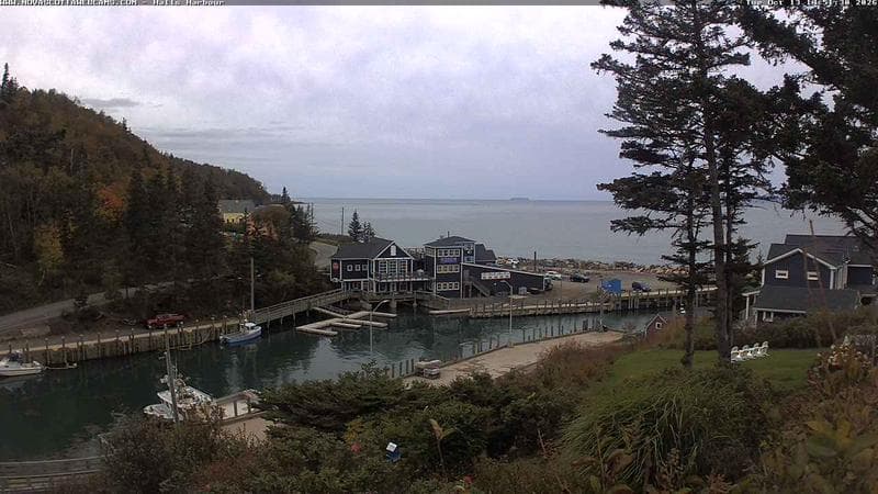 Hall's Harbour