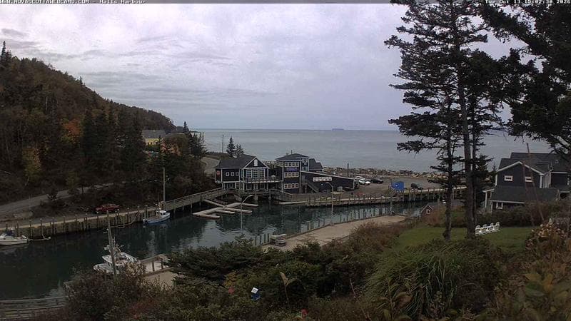 Hall's Harbour