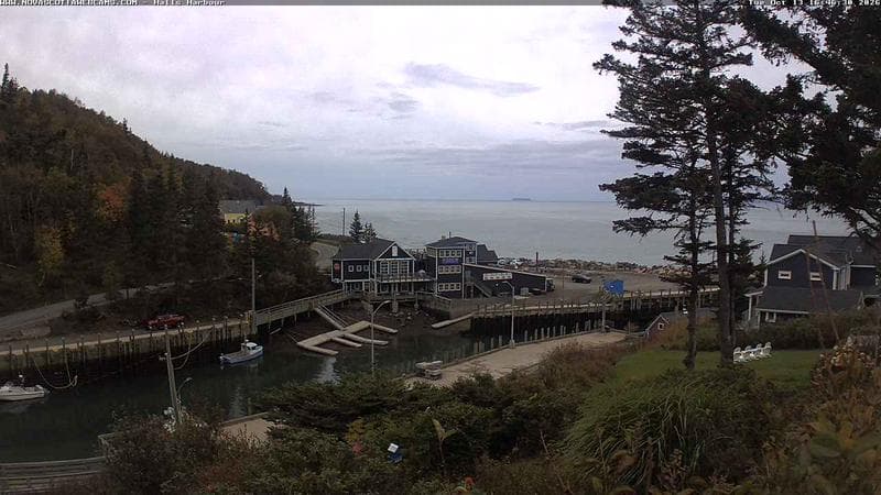 Hall's Harbour