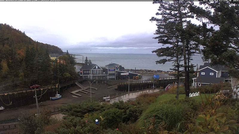 Hall's Harbour