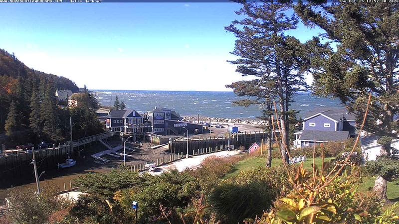 Hall's Harbour