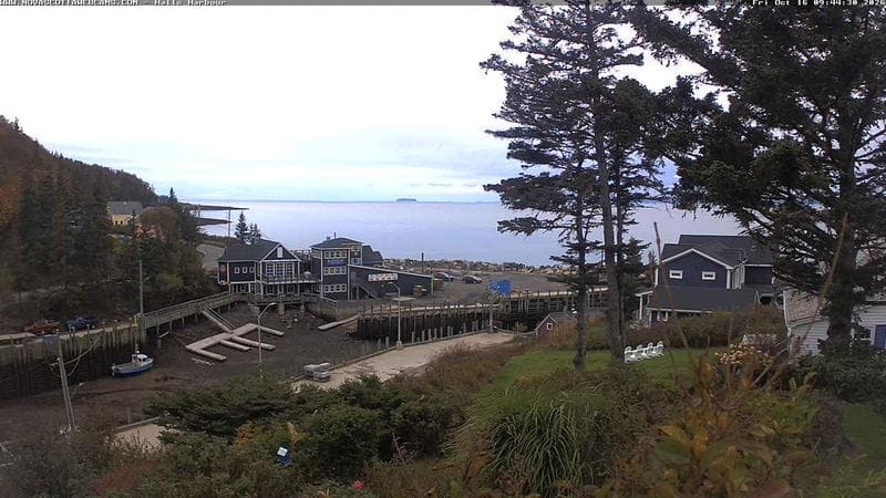 Hall's Harbour