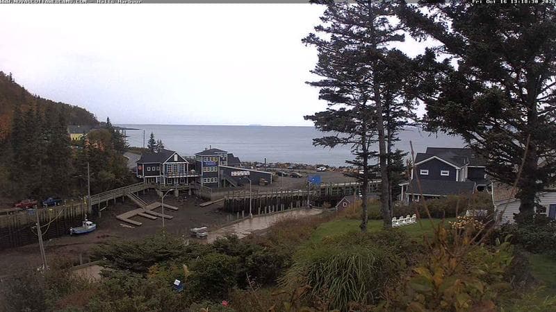 Hall's Harbour