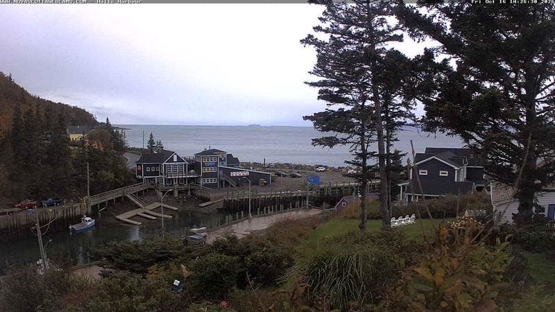 Hall's Harbour