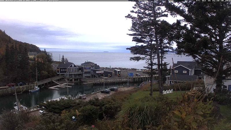 Hall's Harbour