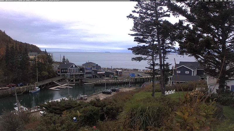 Hall's Harbour