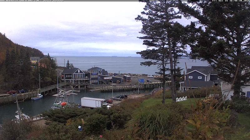 Hall's Harbour