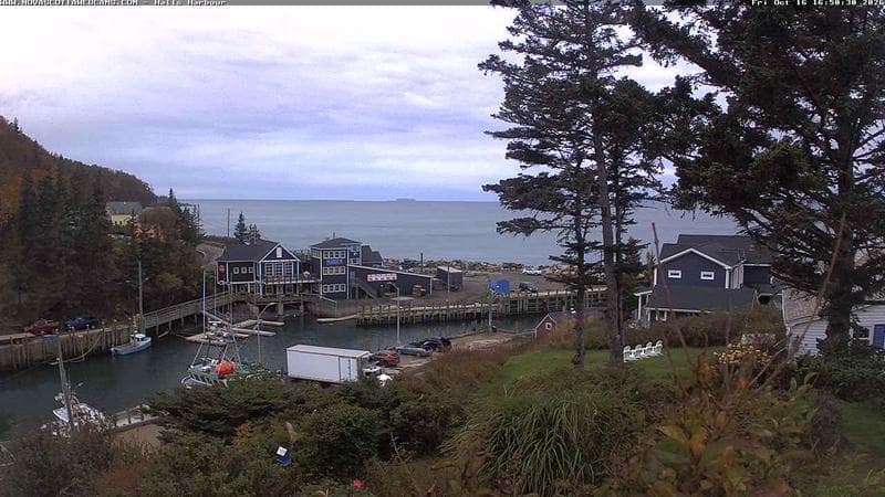 Hall's Harbour