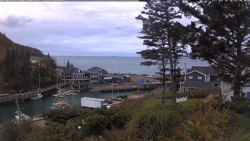 Hall's Harbour