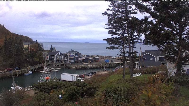 Hall's Harbour
