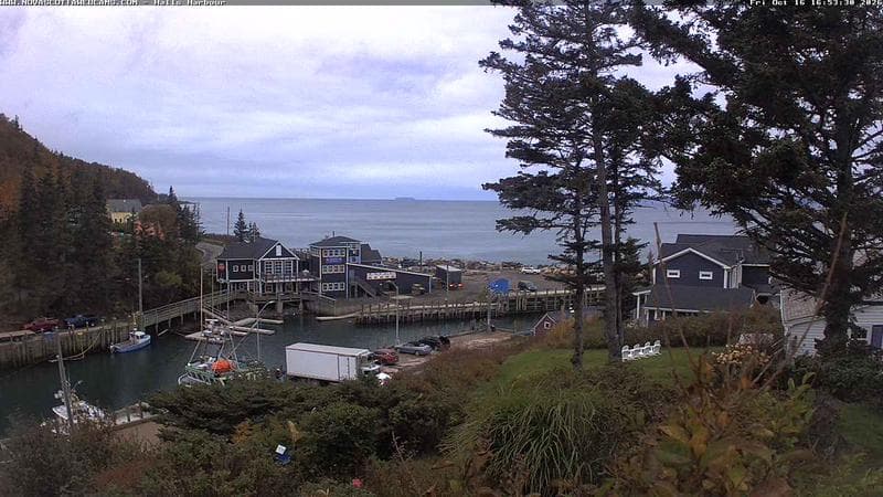 Hall's Harbour