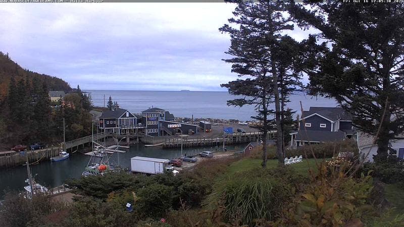 Hall's Harbour