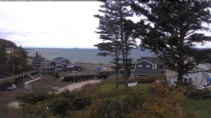 Hall's Harbour