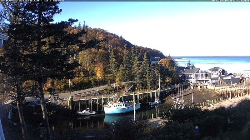 Hall's Harbour