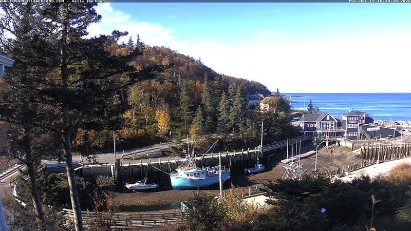 Hall's Harbour