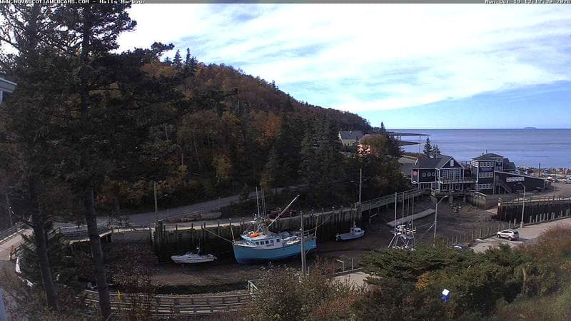 Hall's Harbour
