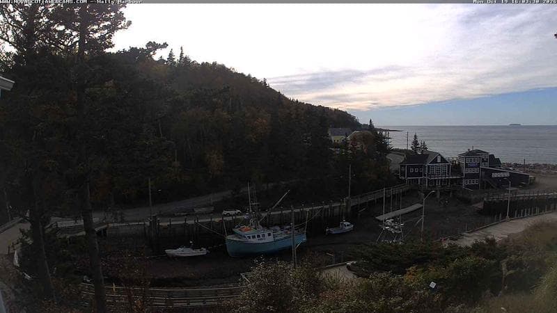 Hall's Harbour