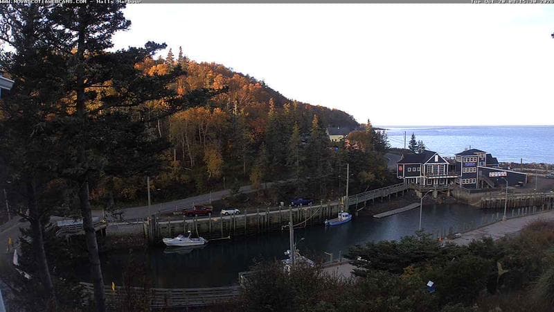 Hall's Harbour