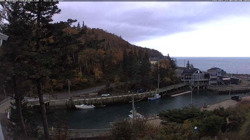 Hall's Harbour