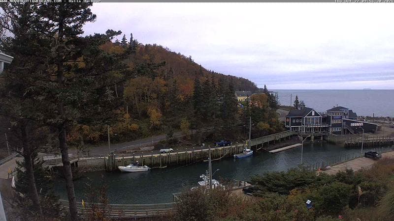 Hall's Harbour