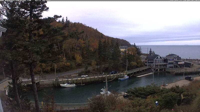 Hall's Harbour