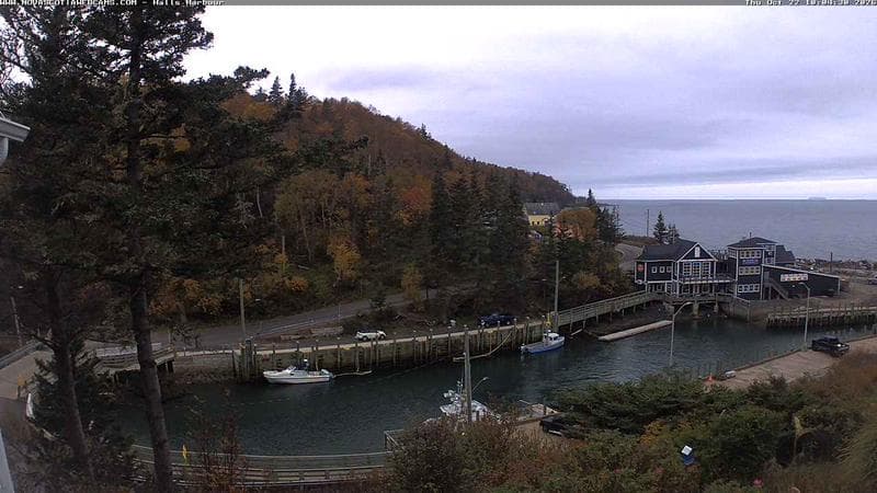 Hall's Harbour