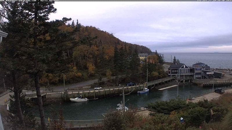 Hall's Harbour