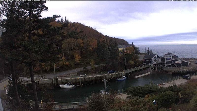 Hall's Harbour