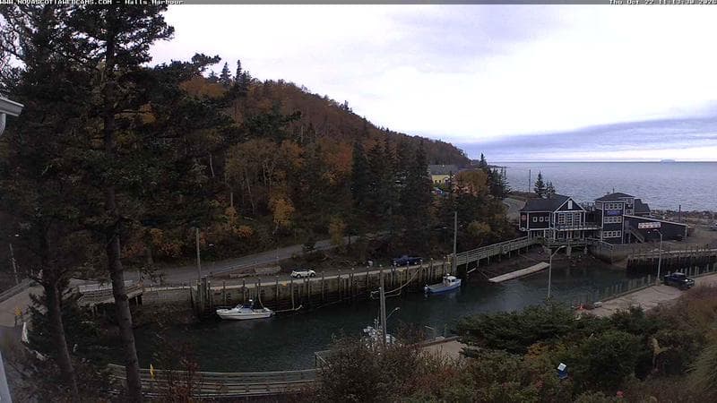 Hall's Harbour