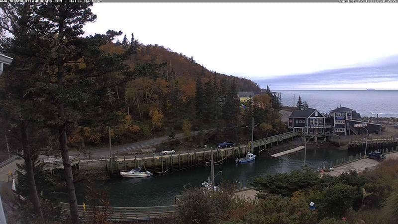 Hall's Harbour