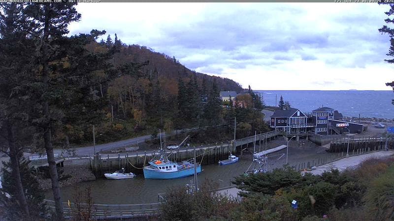 Hall's Harbour