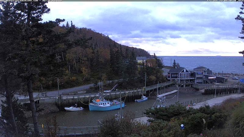 Hall's Harbour