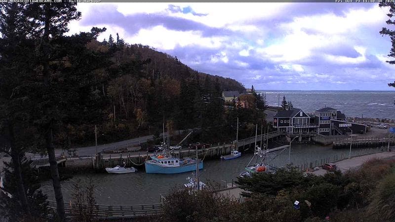 Hall's Harbour