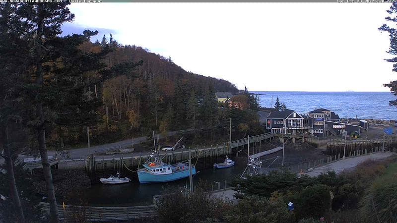 Hall's Harbour