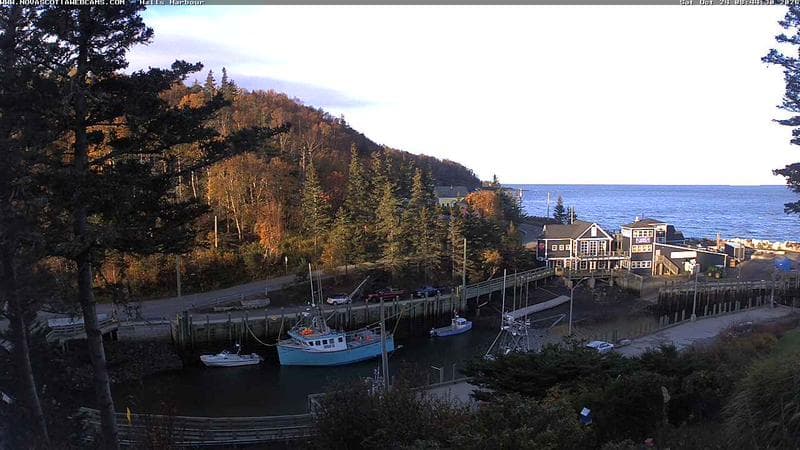 Hall's Harbour