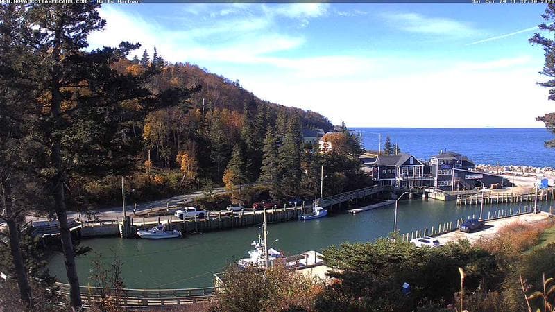 Hall's Harbour